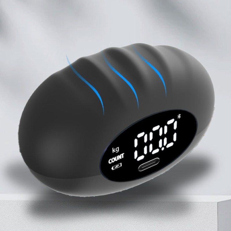 Dinamometer Tangan Digital Erg - Home Gym Hyrox ulasan dan harga