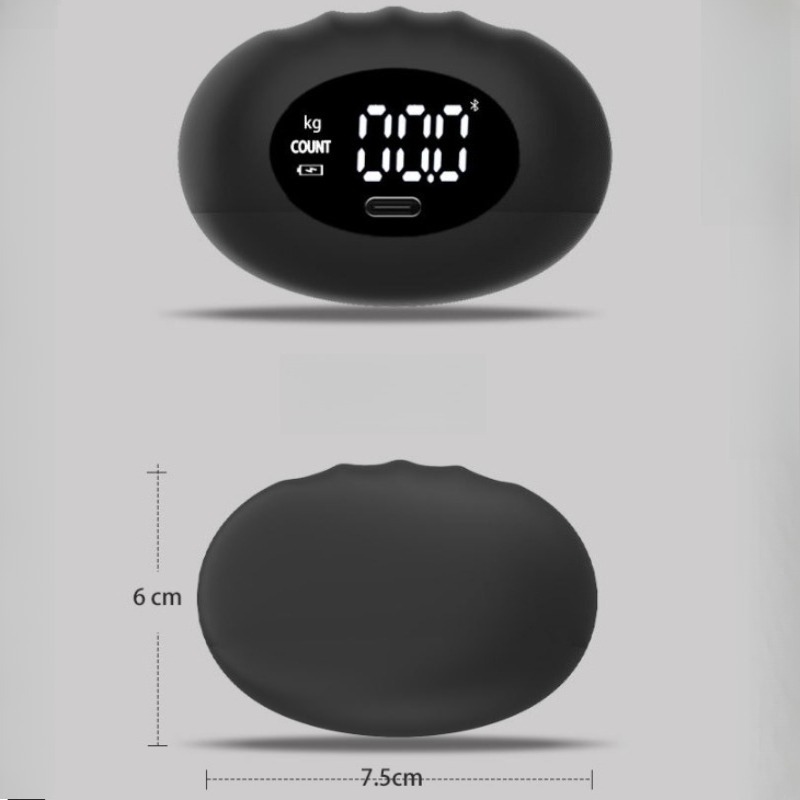 Dinamometer Tangan Digital Erg - Home Gym Hyrox ulasan dan harga